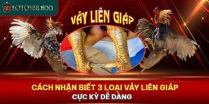 Chia Sẻ Cách Nhận Biết 3 Loại Vảy Liên Giáp Cực Kỳ Dễ Dàng