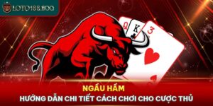 Ngầu Hầm - Hướng Dẫn Chi Tiết Cách Chơi Cho Cược Thủ 2024