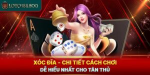 Xóc Đĩa - Chi Tiết Cách Chơi Dễ Hiểu Nhất Cho Tân Thủ 2024